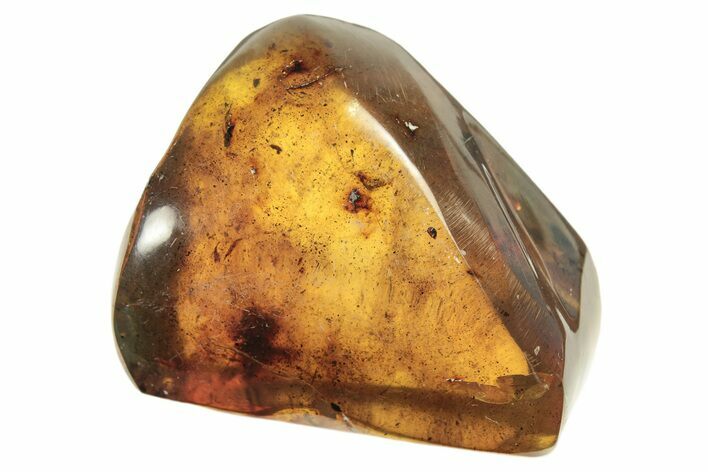 Polished Chiapas Amber ( g) - Mexico #274448
